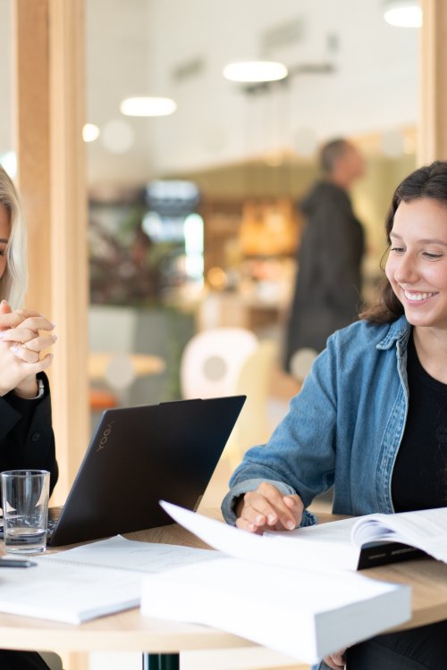 NLAØkonomi-113