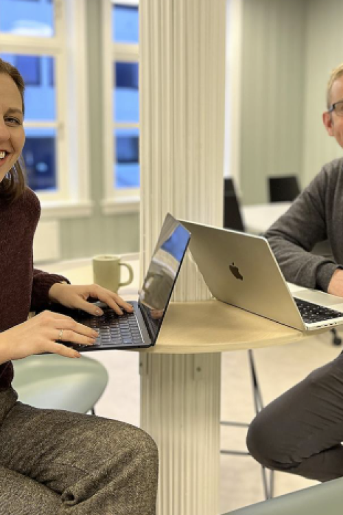 Nettstudier_2024_ Langøy og Dypedal
