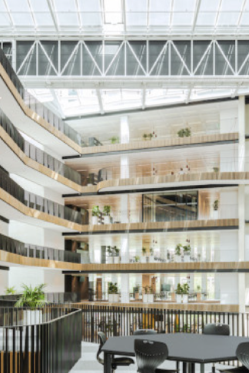 Amsterdam University of Applied Science